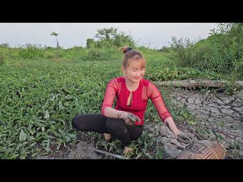 Lần Theo Vết Trườn Săn Rắn Đen Khu Đầm Lầy Bỏ Hoang Trúc