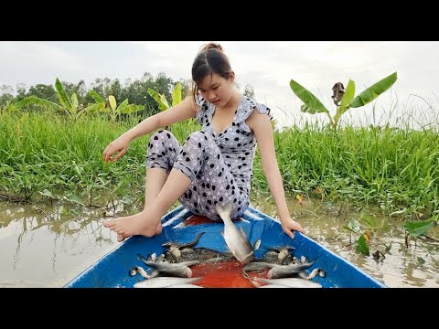 Trúc Phương Vlog Ngưng Ra Video Lý Do Khiến Ai Cũng Chạnh