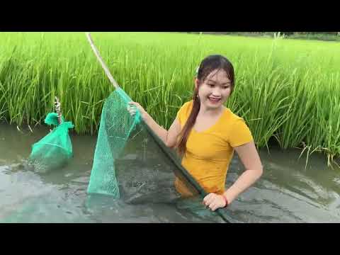 Bắt Được Rắn Ri Cá Thợ Săn Dưới Nước Thì Mưa Giông Bất Ngờ