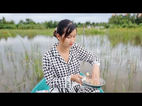 Thôn Nữ Khai Trương Bẫy Cá Độc Lạ Bắt Cá Khu Cỏ U Du Và Cái