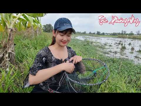 Khai Trương Bẫy Cá Không Mồi Trúc Phương Trúng Lớn Bầy Cá