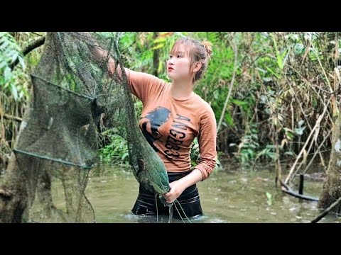 Vượt Nước Săn Bầy Cá Trê Vàng 3 Ngày Giữa Rừng Mưa Trúc