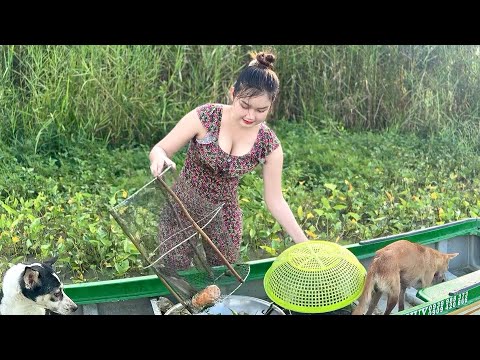 CÁ LỚN Lần Lượt Bị Săn Sau 3 Ngày Mưa Bão Trúc Phương Vlog