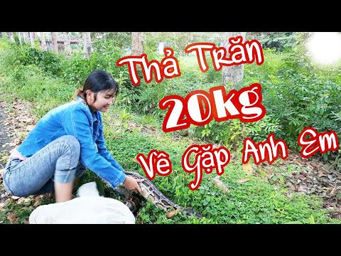 Thôn Nữ Thả Trăn Tinh 20kg Về Với Tự Nhiên Tìm Anh Em Trúc