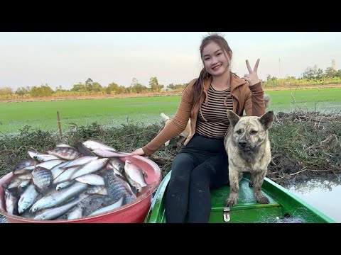 Giăng Lưới Bắt Bầy Cá Trắng Dính Se Viền Gỡ Không Nổi Trúc