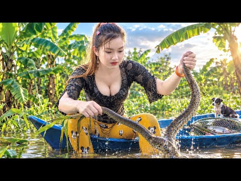 SĂN RẮN Mùa Nước Lũ Bắt Được Rất Nhiều Mồi Trong Một Cái