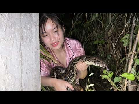 Thôn Nữ Giải Cứu Đàn Gà Bị Thú Dữ Lôi Xuống Nước Ăn T h ị t