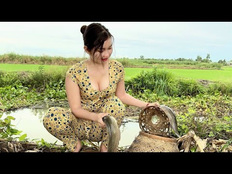Cắm 50 Cần Câu Ngủ Rừng Săn Cá Lạc Vào Lãnh Địa Cá Trê Lớn