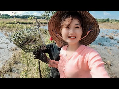 Mùa Chuột Vàng Trúc Phương Bắt Cả Ổ Trú Ngụ Trong Hang Quá