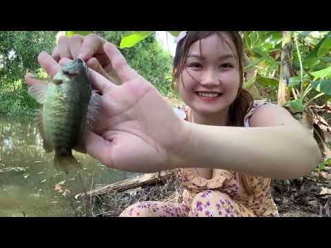 Q U Á i VẬT 4 CHÂN Cá Đang Kéo Mồi Cỡ Nào Cũng Phải Bỏ Chạy