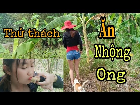 Thử Thách Ăn Nhộng Ong Và Cái Kết 24h Cùng LucKy Trúc