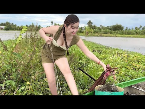 Săn Cá Khi Trời Vừa Dứt Mưa Trúc Phương Bắt Được Mớ Cá Lóc