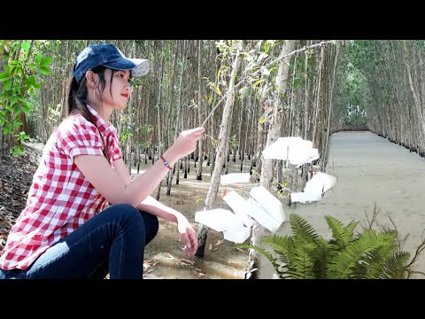 Thôn Nữ Trúc Phương Bẫy Cá Trong Rừng Gặp Phải Ổ Cá Chế Tạo