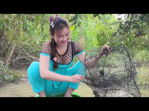 Bẫy 12 Cửa Ngục Bắt Luồng Cá Rừng Trong Mương Tràm Về Nấu