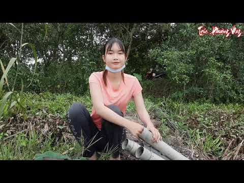 Bẫy Lươn Khu Long Phụng Bằng Mồi Này Liệu Thôn Nữ Có Bất