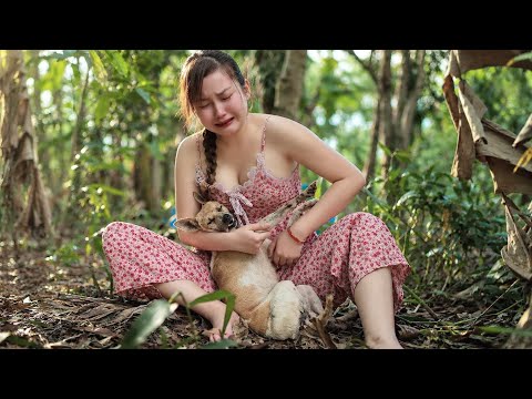 Phải Chăng Rắn ĐỘC Đã Cắn C H Ế T Con Chó Tôi Giữa Rừng