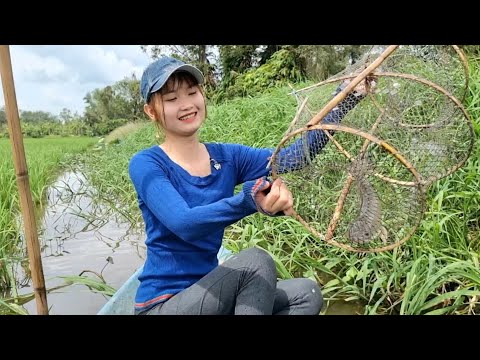 Bẫy Bầy Cá Lóc Trúng Mánh Sau Một Đêm Dính Đầy Cả Túi Trong