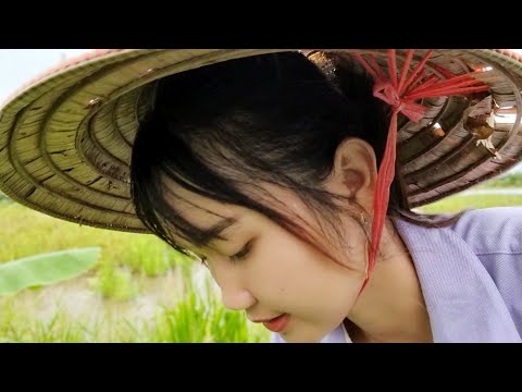 Thôn Nữ Buổi Chiều Ra Đồng Di Dời Bẫy Bắt Cá Không Ngờ Cái