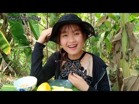 Hoàng Thượng Hãy Cùng Em Hái Xoài Tận Vườn Trộn Muối Ớt