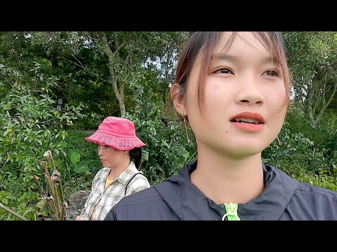 Thả Câu Lươn Mương Hoang Lâu Năm Bằng Mồi Nhái Cơm Trúc