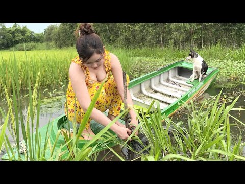 Bẫy 12 cửa dời điểm sau một đêm bắt trọn bầy cá lúa bể tay