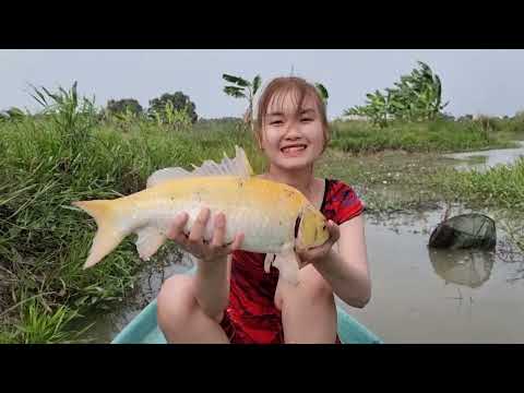 Bẫy Cá Dưới Mương Này Trúc Phương Bất Ngờ Bẫy Dính Cá Chép