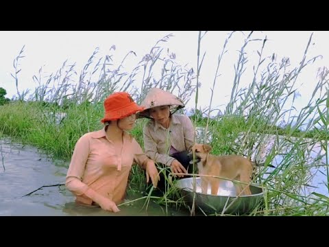 Chó Thông Minh Ra Đồng Bắt Cá Cùng Thôn Nữ Trúc Phương Vlog