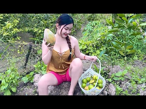 Thôi bắt cá một ngày Trúc Phương thu hoạch trái cây sau lũ