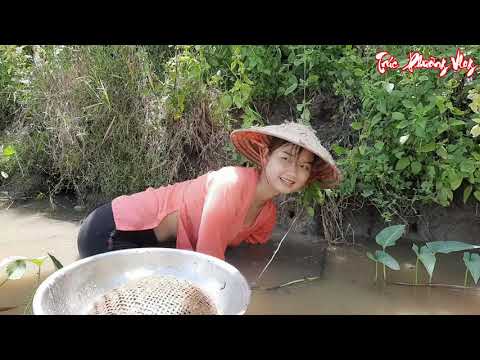 Cận Cảnh Thôn Nữ Săn Cá Trú Ngụ Trong Hang Bằng Tay Không
