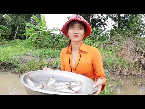 Cuộc Sống An Yên Của Hai Mẹ Con Miền Tây Với Buổi Chiều