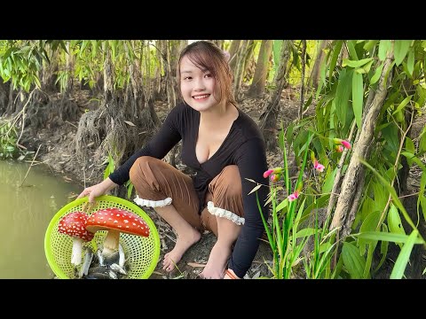 Cứ Ngỡ Hốt Bạc Cho Lần Thăm Bẫy Cá Đồng Bơm Ai NGỜ Trúc