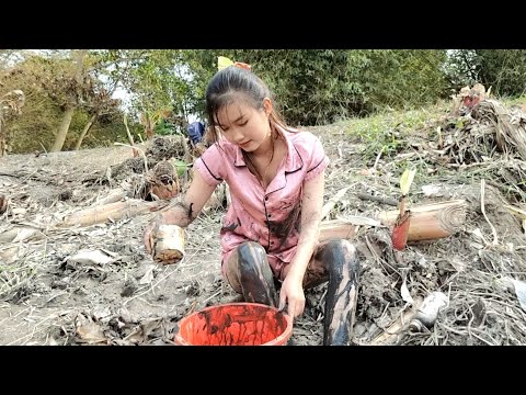 Mò Cá Trong Mương Nước Cạn Cô Gái Bất Ngờ Dính Cá To Quá