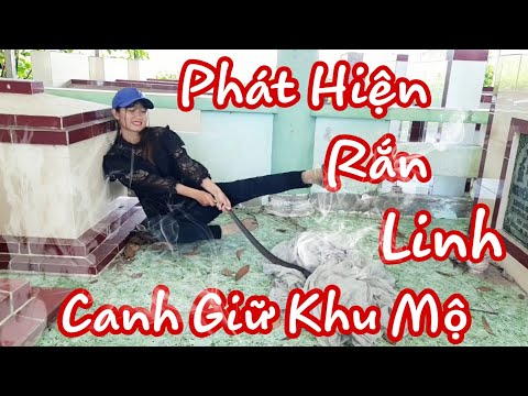 Thôn Nữ Phiêu Lưu Ký 4 Kinh Hoàng Phát Hiện Rắn Thần Canh