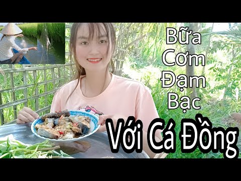 Bữa Cơm Đơn Giản Đạm Bạc Từ Cá Đồng Giăng Lưới Món Ngon Mỗi