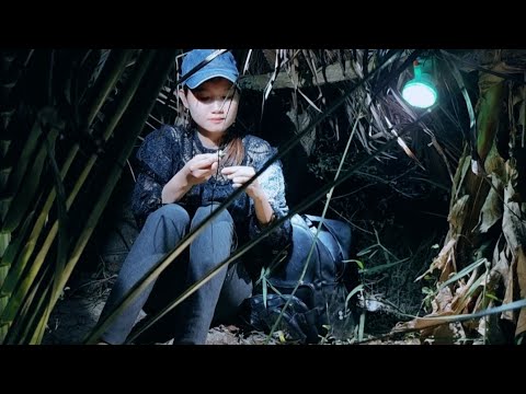 24 H Sinh Tồn Săn Cá Lóc Xây Dựng Nơi Trú Ẩn Trong Rừng