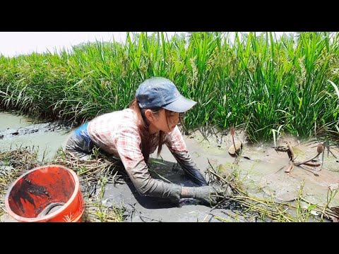Thôn Nữ Bắt Cá Ngay Đám Cỏ Chấp Nơi Tập Trung Của Loài Cá