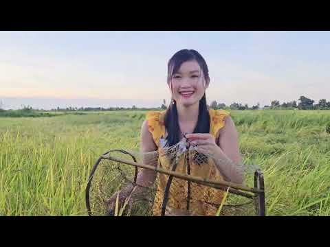 Bẫy Tre Trúng Bầy Cá Ngon Trên Đồng Mùa Lũ Thấy Mà Mê Trúc