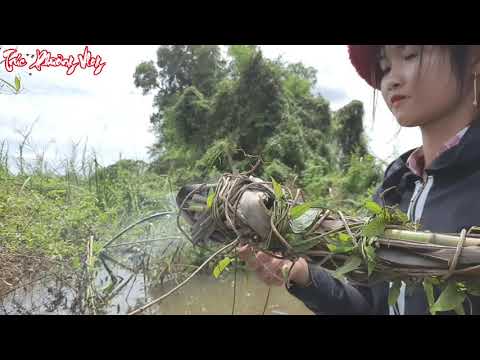 Thôn Nữ Vào Rừng Chạm Trán Sát Thủ Liều M ạ n g Dùng Hỏa