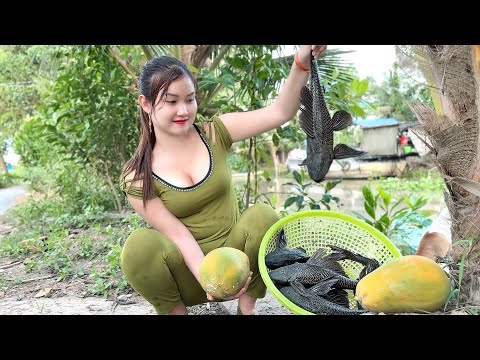 Bắt Đầy Thau Cá Lau Kiếng Khi Dời Bẫy Qua Điểm Mới Này Trúc