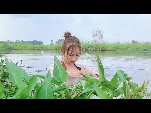 Giăng Lưới Bắt Bầy Thủy Quái Vượt Ngục Trong Kênh 300 Thật