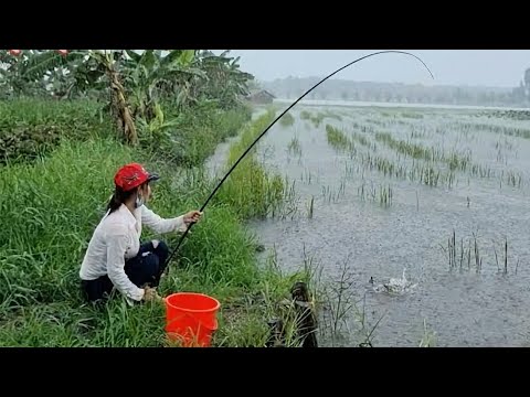 Câu Trúng Thủy Cá Khủng Trong Mưa Cùng Những Bất Ngờ Trong