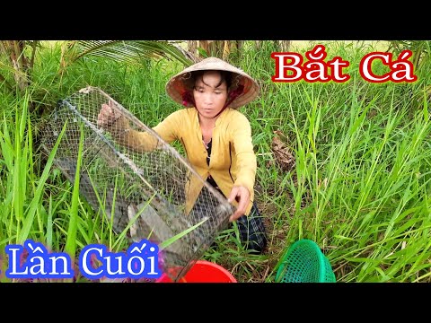 Lần Cuối Thôn Nữ Bắt Cá Trên Mương Dừa Vì Lý Do Trúc Phương