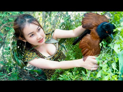 Trú Ẩn Trong Rừng Cận Cảnh Con Mồi Sa Bẫy Trúc Phương Vlog