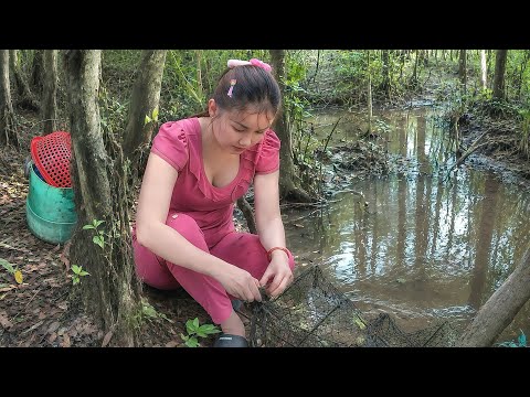 Trở Lại Khu Tràm Rừng Bắt Trọn Bầy Cá Lớn Sau Trận Mưa Đầu