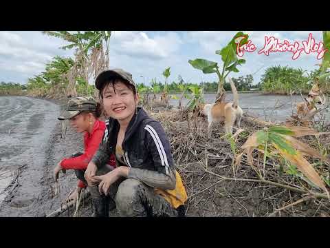 ĐÀO HANG BẮT CÁ Trúc Phương Thu Phục Cả Ổ CÁ KHỦNG Trúc