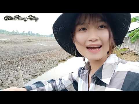 Em Gái Miền Tây Sạ Lúa Cực Sốc Trúc Phương Vlog