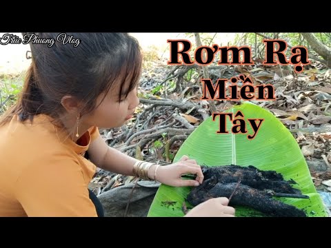 Đặc Sản Miền Tây Mùa Lúa Chín Cá Lóc Nướng Chui Món Ngon