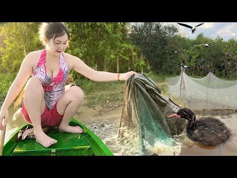 CHIM LẶN Hốt Hoảng Bay Trên Nước Khi Thấy Trúng Bầy Cá Lớn