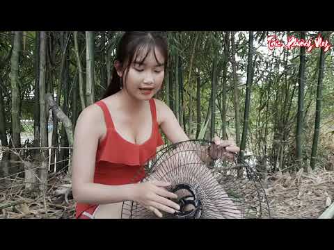 Thôn Nữ Bẫy Tôm Càng Xanh Ý Tưởng Tái Chế Độc Đáo Không Ngờ