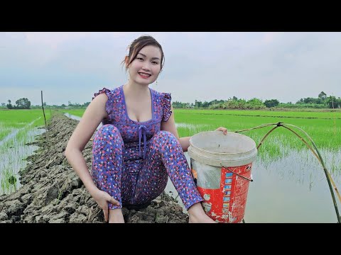Bắt Cá Bằng Nôm Lưới Sau 1 Năm Kênh Trúc Phương Vlog Không